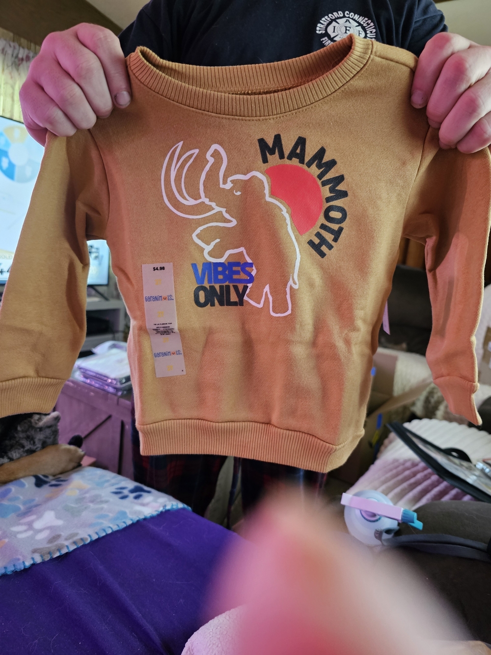 Garanimals Tan 'Mammoth Vibes Only' Kids Sweatshirt Size 2T NWT Retail $5